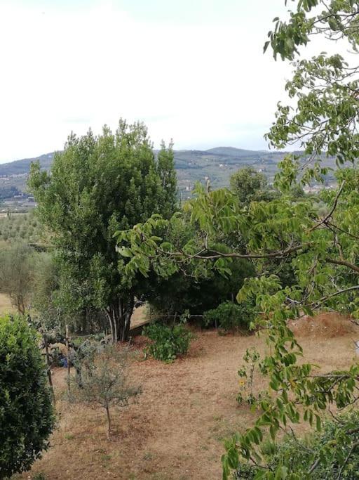 I Rosai Appartamento Sulle Colline Fiorentine Bagno a Ripoli Exterior foto